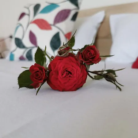 Gæstehus Casa Del Mar Primorsko