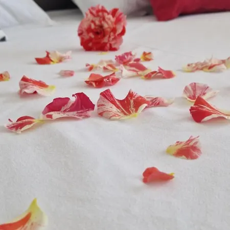 Casa Del Mar 3* Primorsko