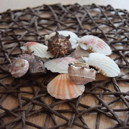 Gæstehus Casa Del Mar