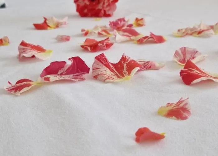 Casa Del Mar 3* Primorsko