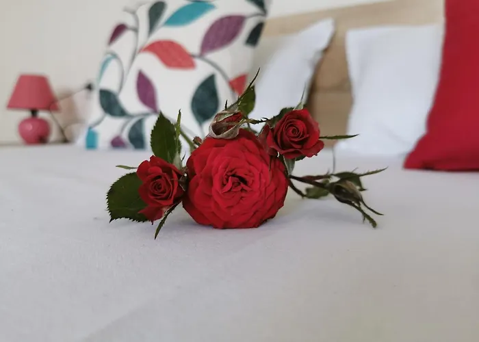 Guest house Casa Del Mar Primorsko